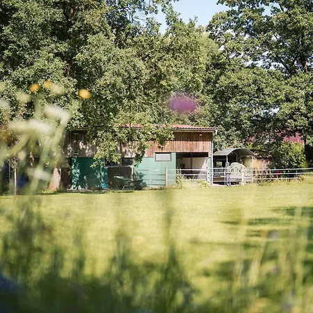 Gelbe Haus Apartament *